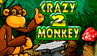 crazy monkey 2